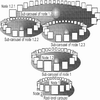 Structural Analysis and Visualization of {C}++ Code Evolution using Syntax Trees