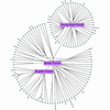 Family tree visualization